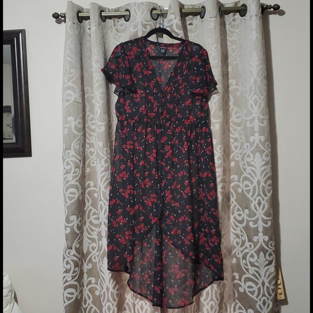 Torrid high low top